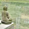 仏教の智慧と心の世界