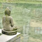 仏教の智慧と心の世界